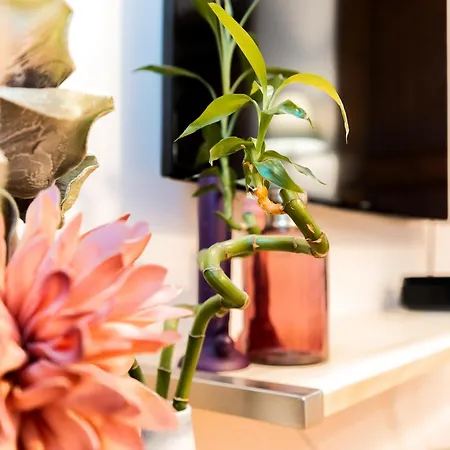 Le Maginot - Magnifique De 75m2 - Deux - 4 Lits Simple -position Centre Ville, Pompidou, Nouvelle - 2 A 4 Personnes Apartman Metz